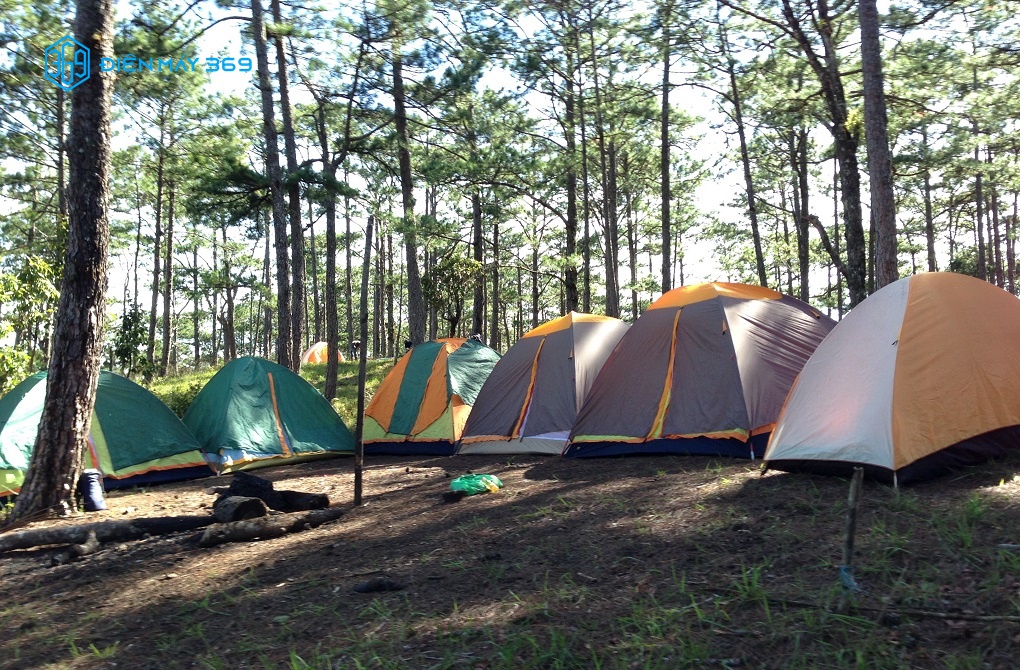 Giá dịch vụ cho thuê lều cắm trại quận Bình Thạnh, quận Phú Nhuận tại Điện Máy 369 rất cạnh tranh.