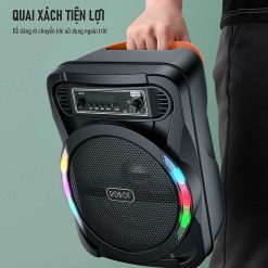 Loa Bluetooth Robot RB450 Black