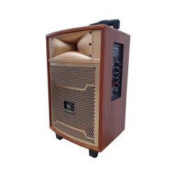 Loa Kéo Karaoke MINI S-10B