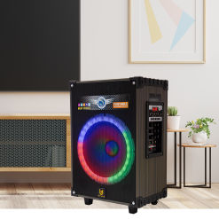 Loa Kẹo Kéo Best Sound BD 9012