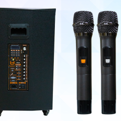 Loa Kẹo Kéo Best Sound BD 9015