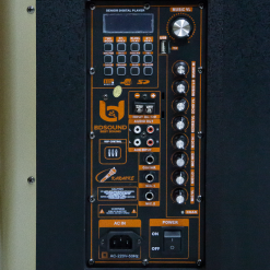 Loa Kẹo Kéo Best Sound BD 9015