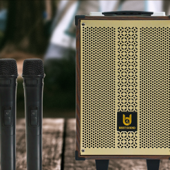 Loa Kẹo Kéo Best Sound BD 9080