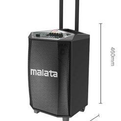 Loa Kẹo Kéo Malata 9015