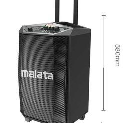 Loa Kẹo Kéo Malata 9017