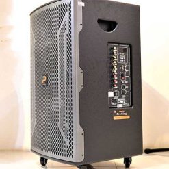 Loa Kẹo Kéo Prosing W15 VN