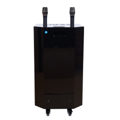Loa Kéo AZPro 359