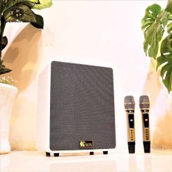 Loa Kéo KCBox KC 350