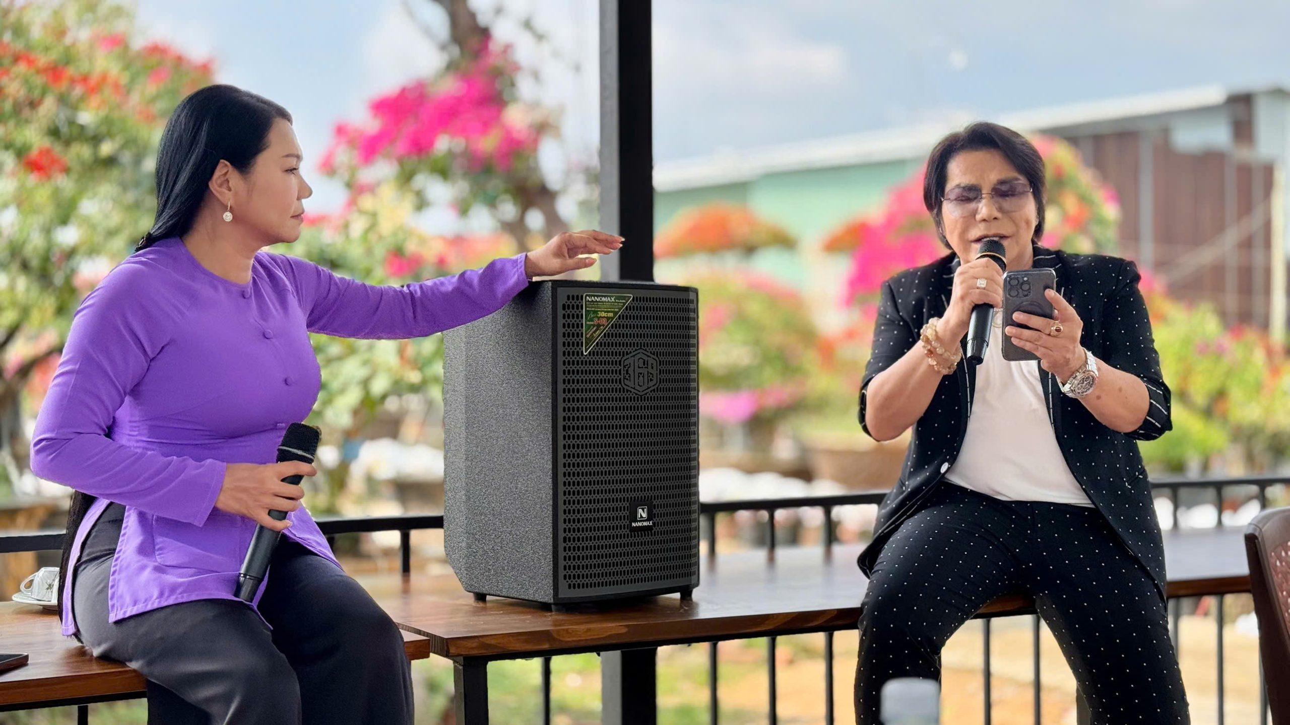 Loa kéo karaoke giá rẻ - Giải pháp âm thanh đỉnh cao cho mọi gia đình và sự kiện
